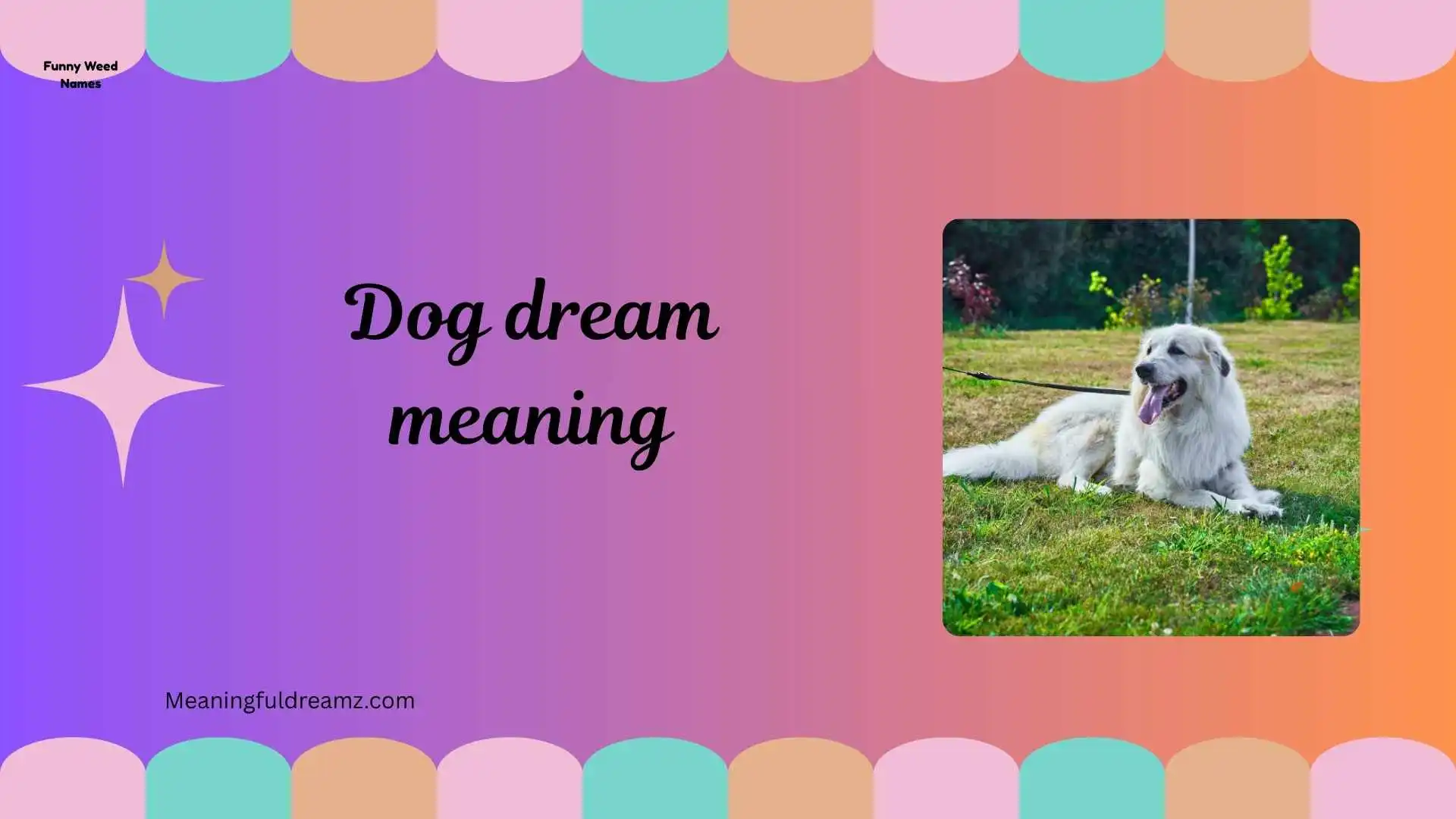 dog dream meaning
