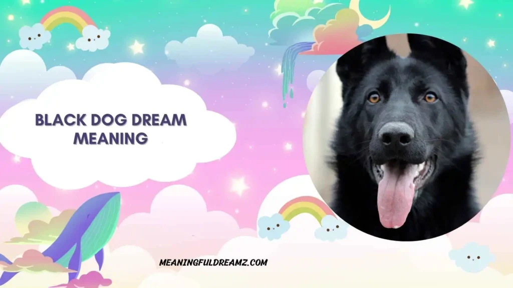 Dream of Black Dog Attacking Me