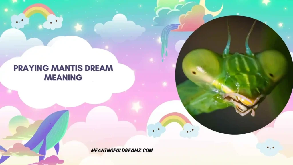 Dream of Praying Mantis Attack