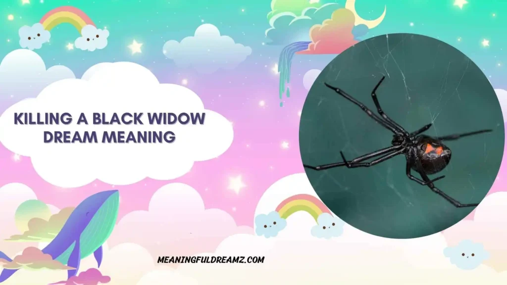 Dreaming of Black Widows Spiritual Meaning