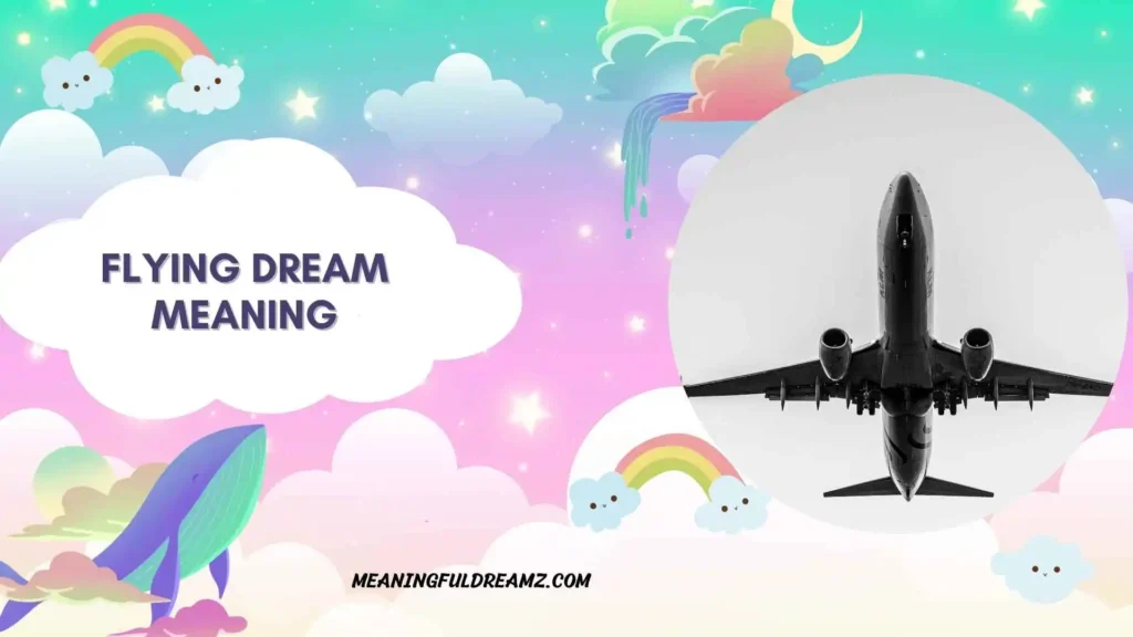Dreams About Flying in a Plane as a Passenger