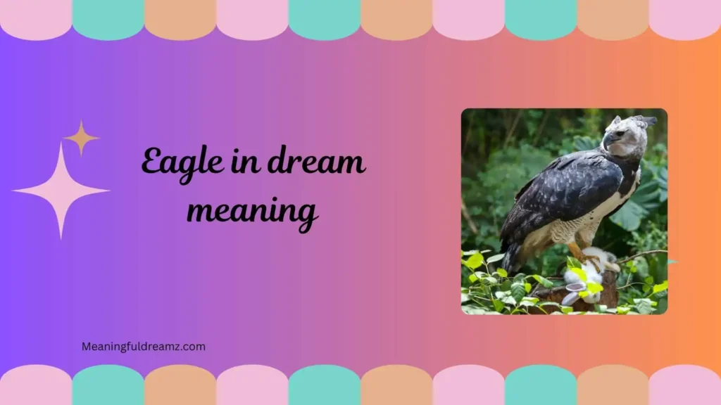 eagle in dream meaning