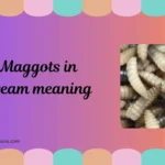 maggots in dream meaning