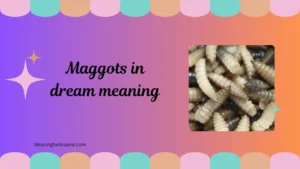 maggots in dream meaning
