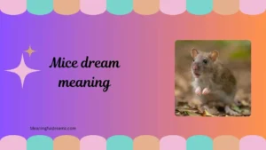 mice dream meaning