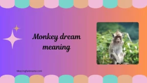 monkey dream meaning