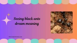 seeing black ants dream meaning