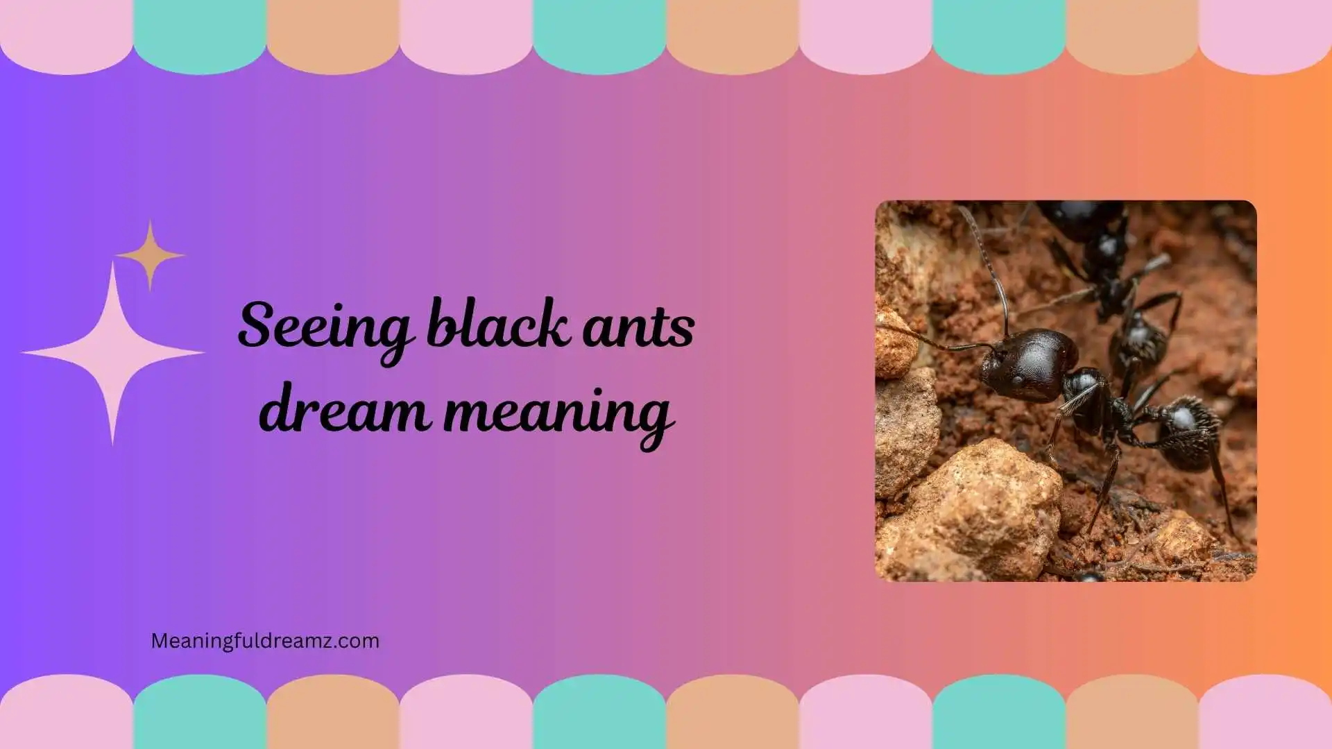 seeing black ants dream meaning