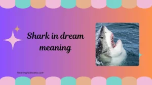 shark in dream meaning