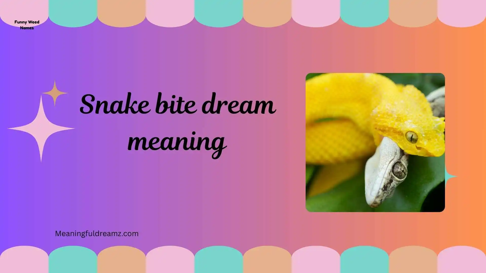 snake bite dream meaning