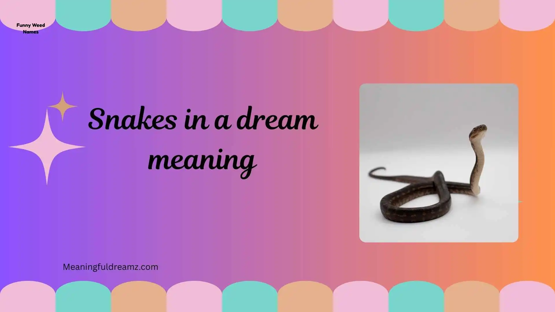 snakes in a dream meaning