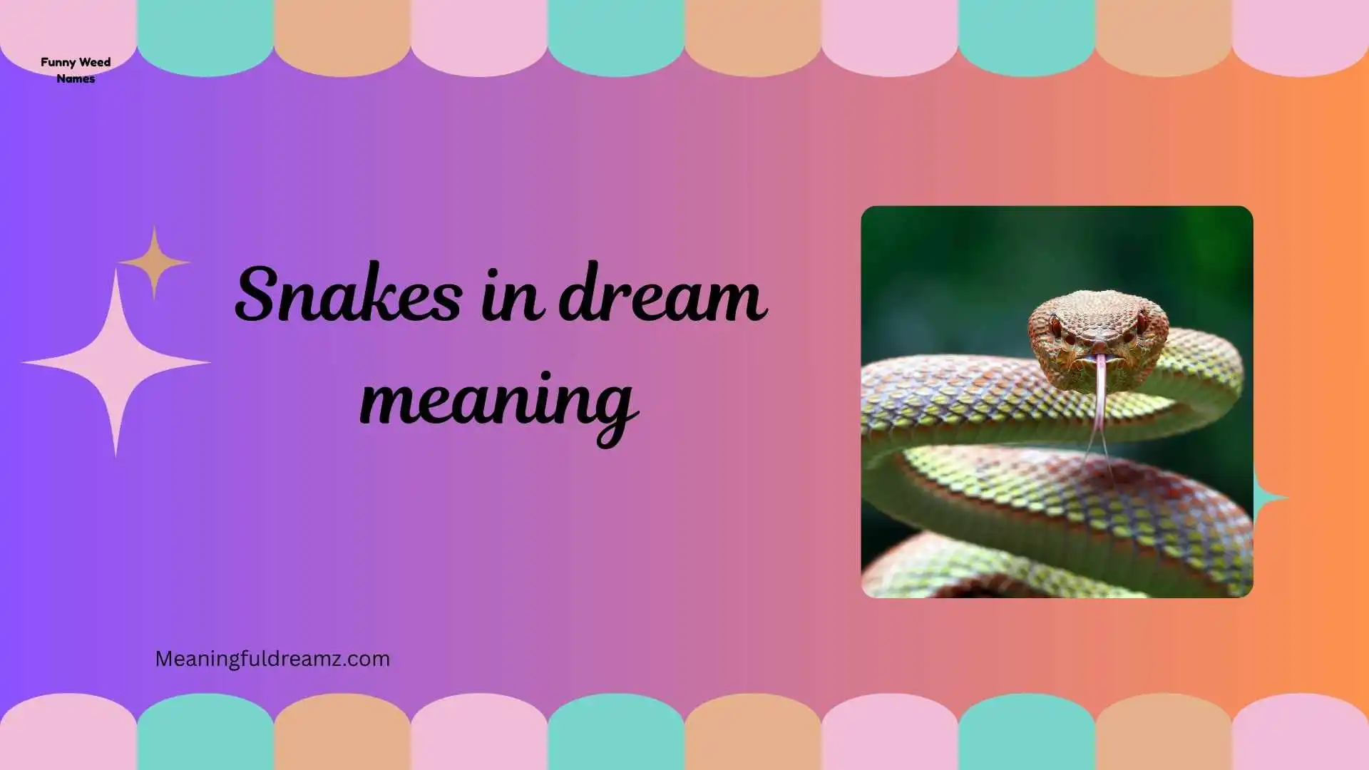 snakes in dream meaning