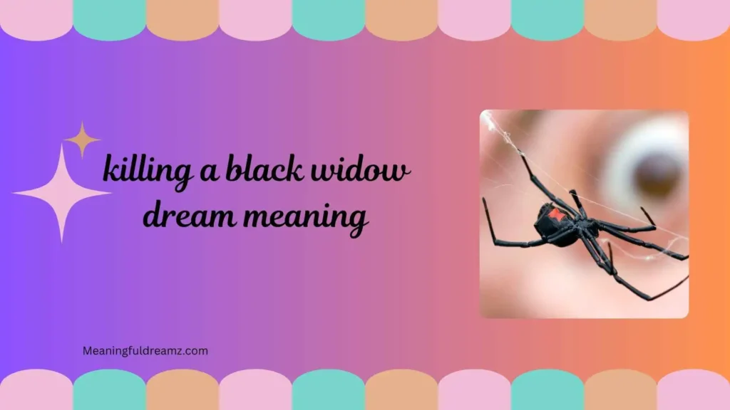 Spiritual Meaning of Killing a Black Widow Spider in a Dream