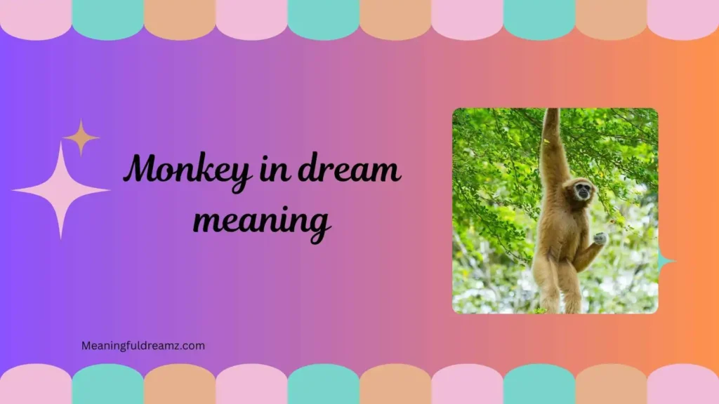 Spiritual Meaning of Monkey in Dreams