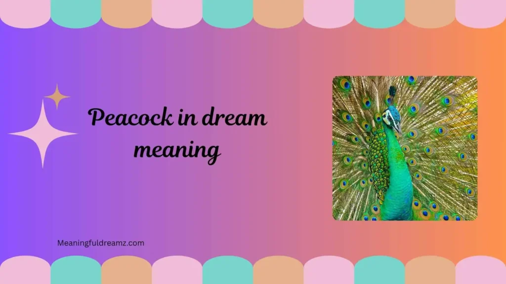 Spiritual Meaning of Peacock in Dreams