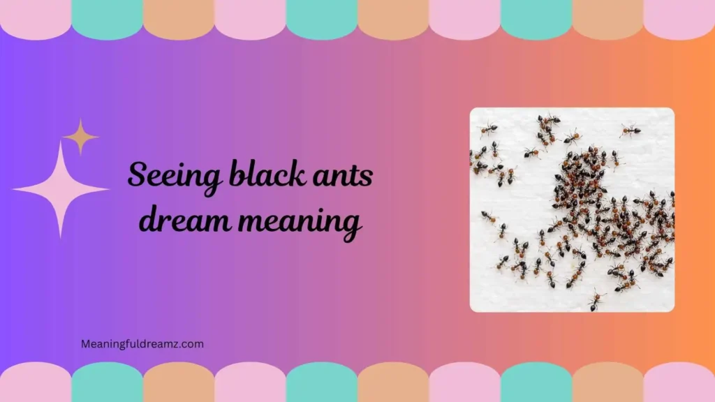 Spiritual Symbolism of Black Ants in Dreams