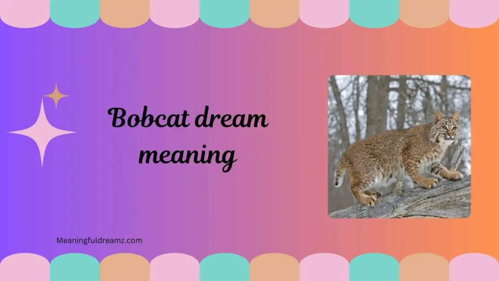 Symbolic Meaning of a Bobcat in Dreams
