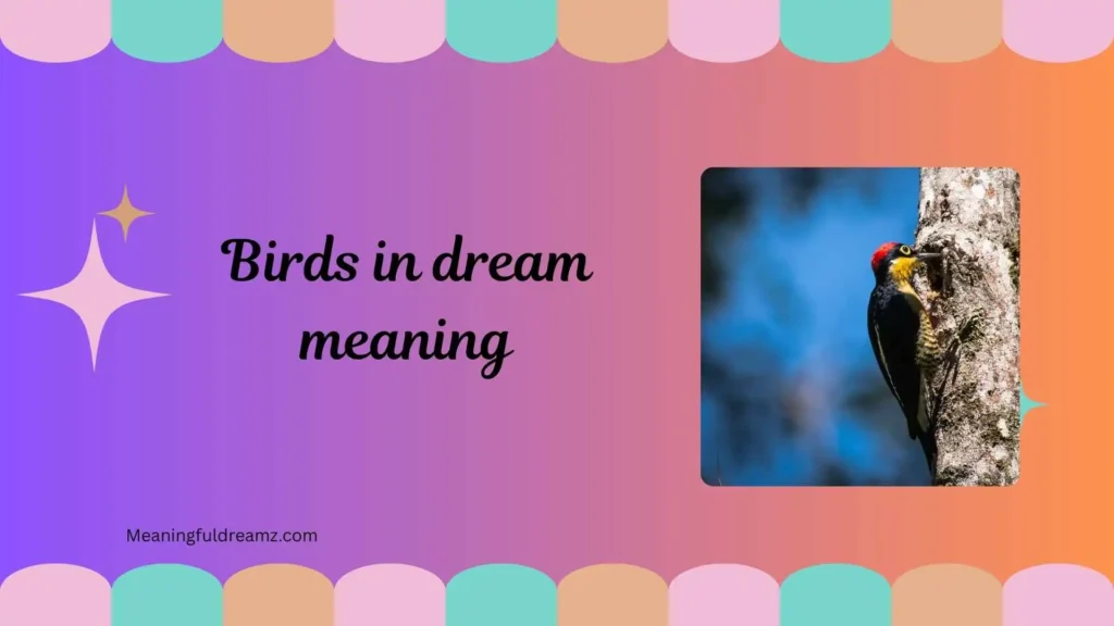 Symbolism Behind Birds in Dreams