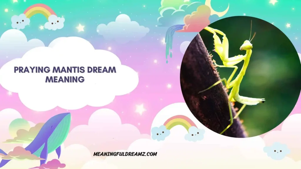 To Dream of Seeing Multiple Praying Mantis 