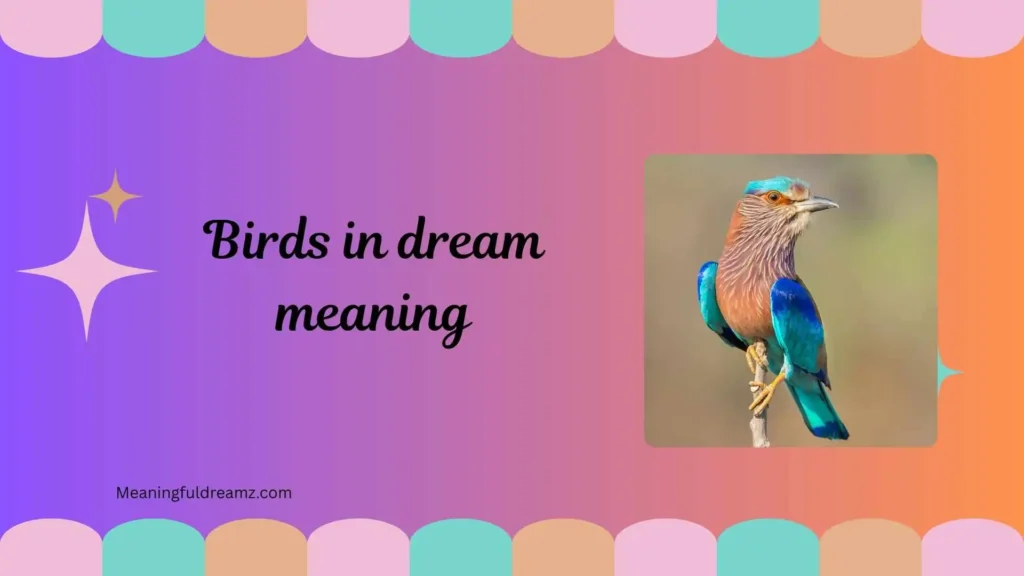 Types and Variations of Bird Dreams