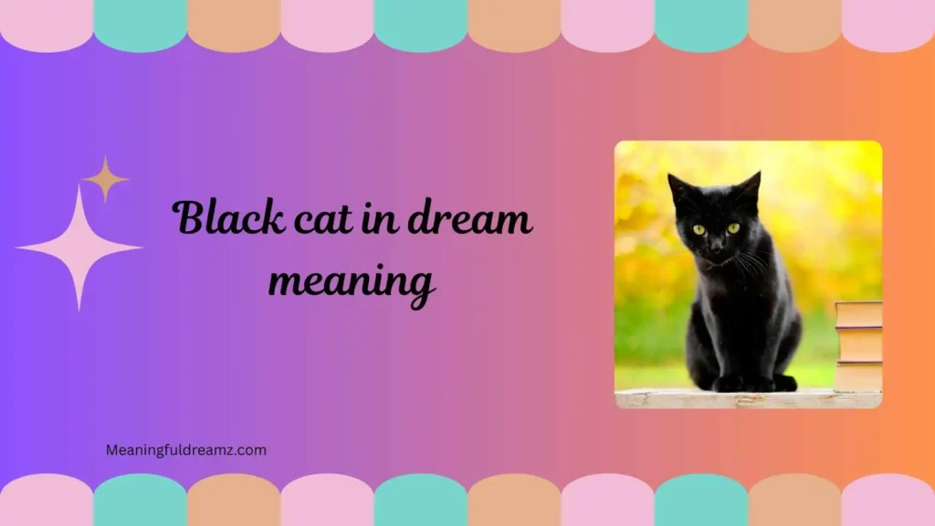 Types and Variations of Black Cat Dreams