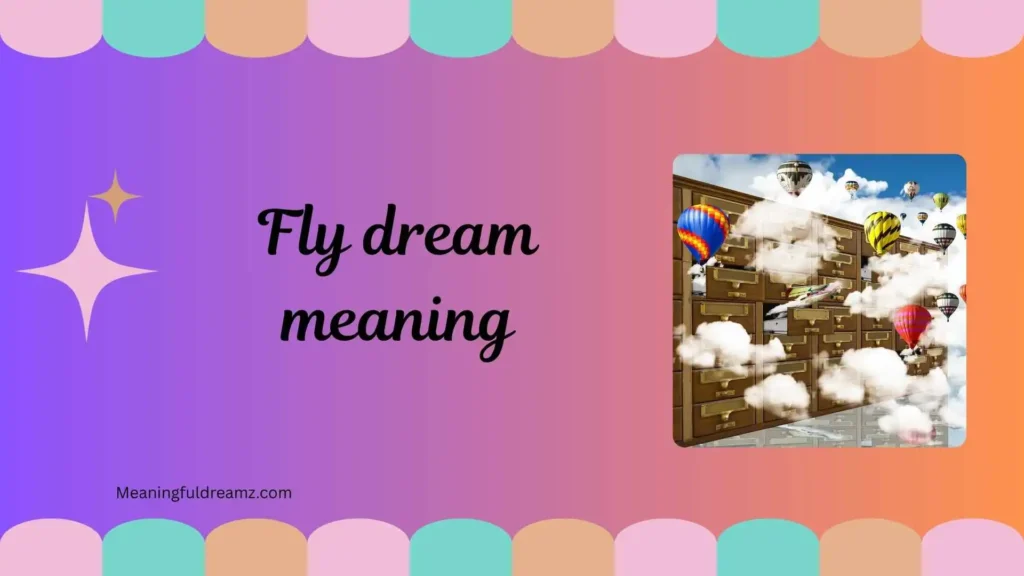 Types and Variations of Fly Dreams