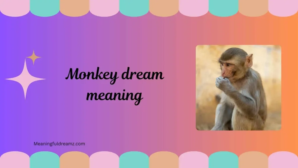 Types and Variations of Monkey Dreams