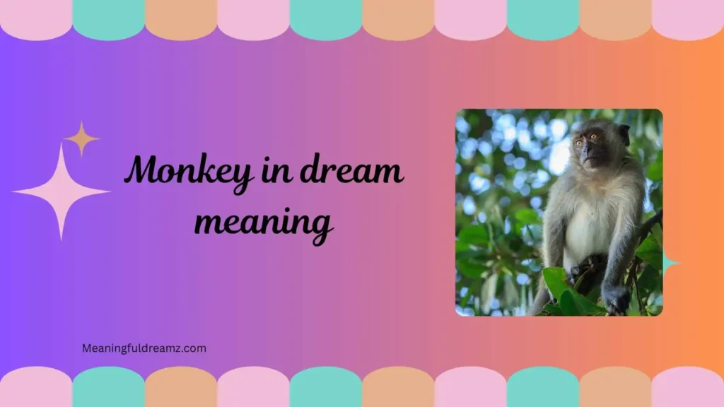 Types and Variations of Monkey Dreams