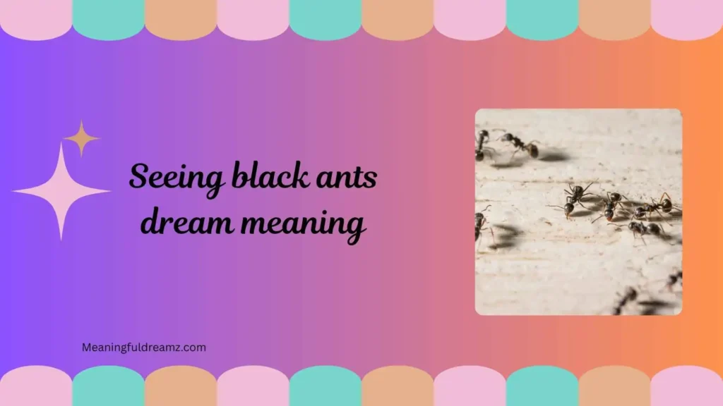 Types and Variations of Seeing Black Ants Dream Meaning