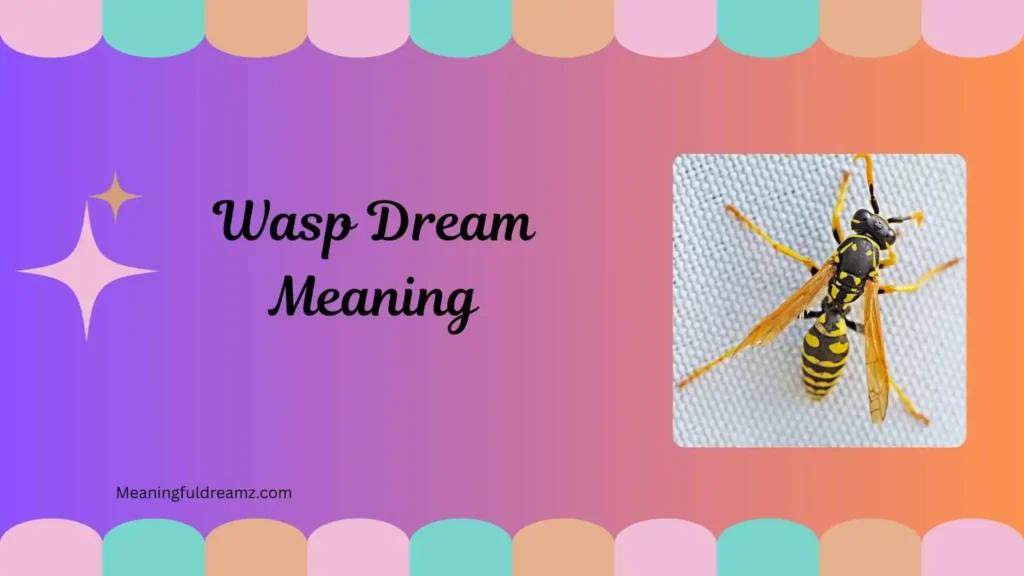 Types and Variations of Wasp Dreams