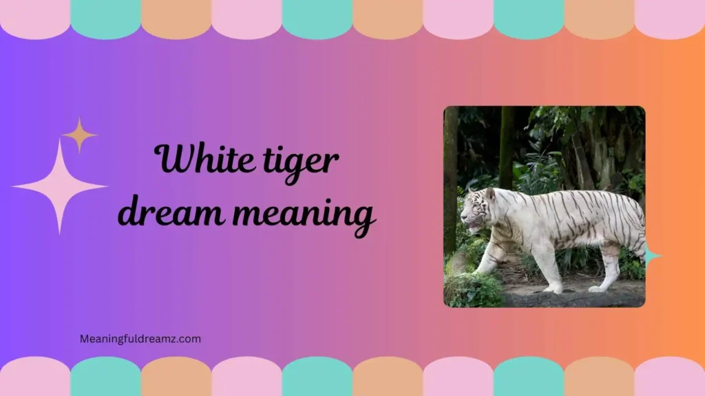 Types / Categories of White Tiger Dream Meaning