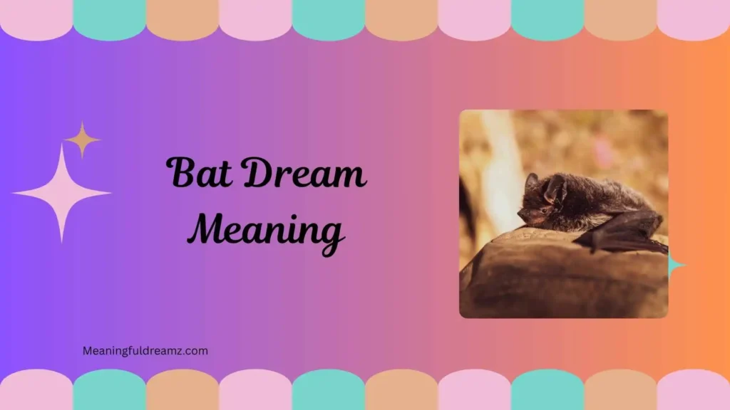 Types / Categories / Variations of Bat Dream Meaning