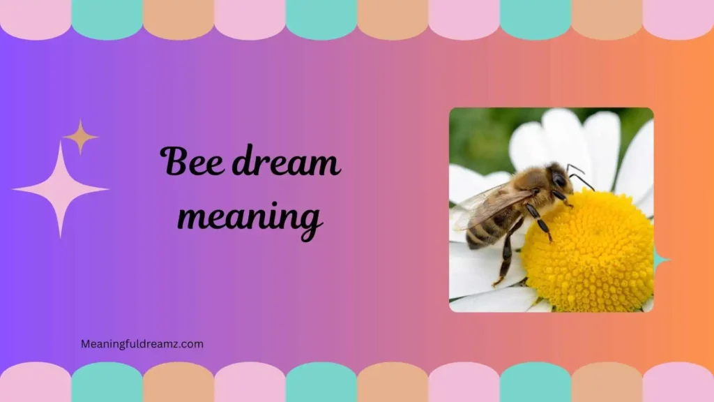 Types / Categories / Variations of Bee Dream Meaning