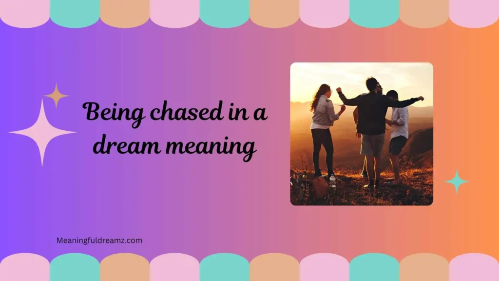 Types / Categories / Variations of Being Chased in a Dream Meaning