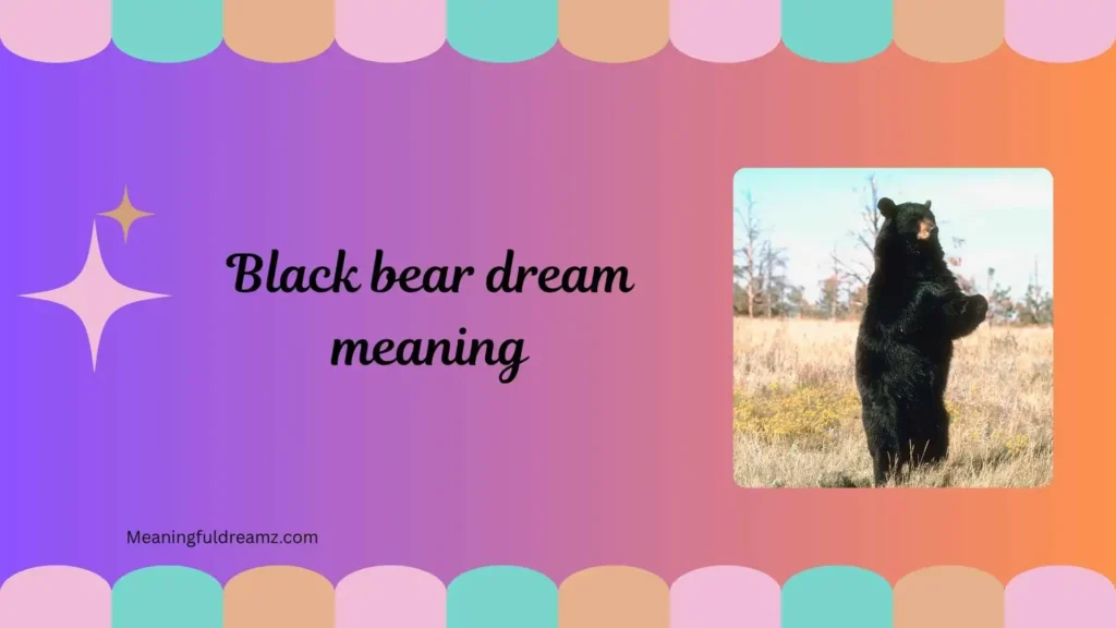 Types / Categories / Variations of Black Bear Dreams