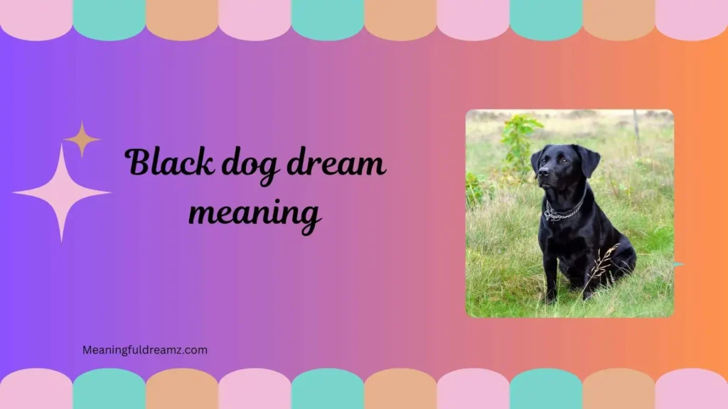 Types / Categories / Variations of Black Dog Dream Meaning