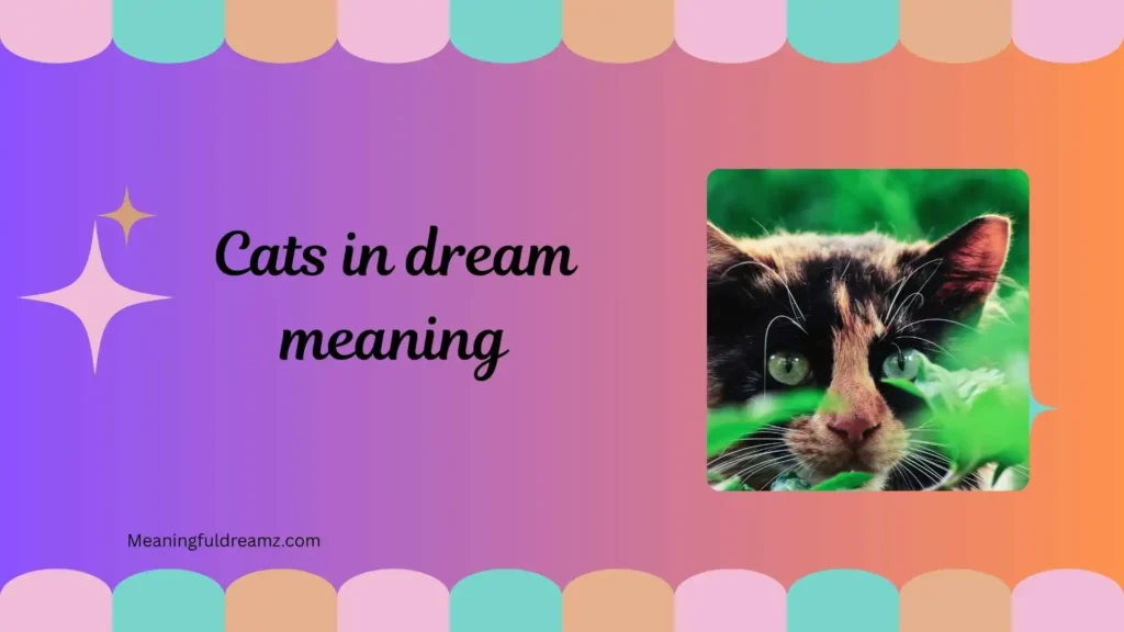 Types / Categories / Variations of Cats in Dream Meaning