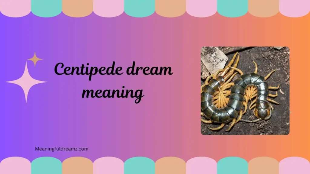 Types / Categories / Variations of Centipede Dream Meaning