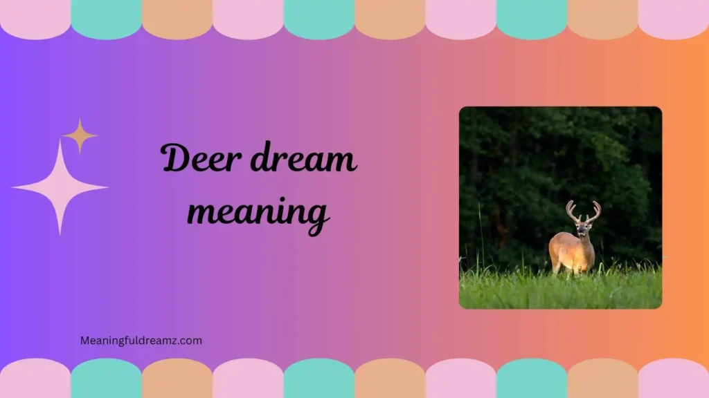 Types / Categories / Variations of Deer Dream Meaning