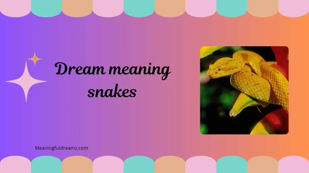 Types / Categories / Variations of Dream Meaning Snakes