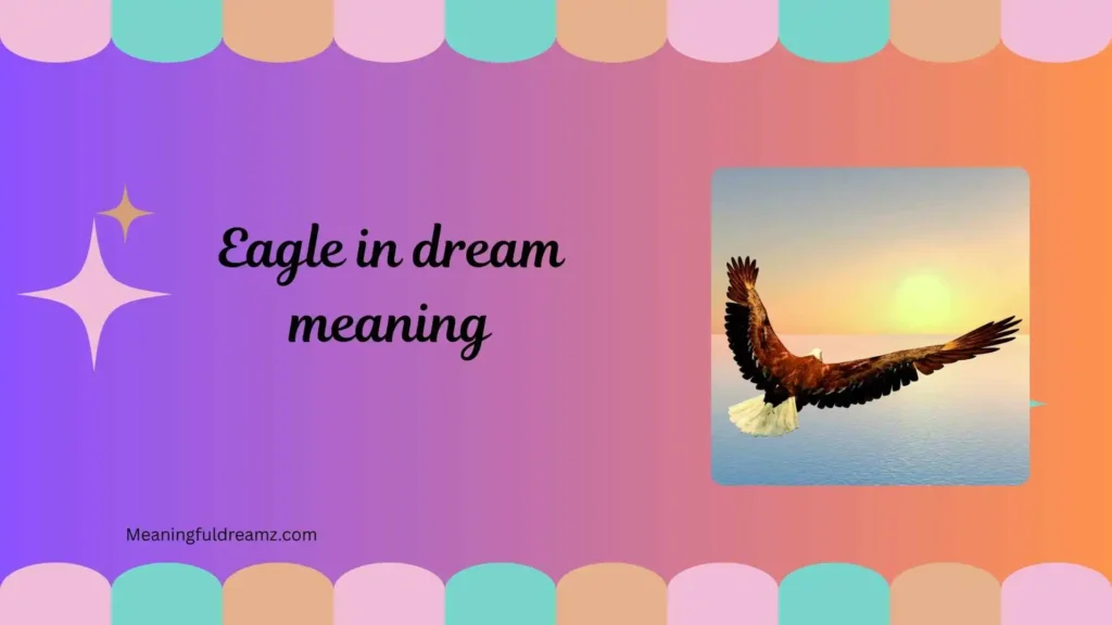 Types / Categories / Variations of Eagle in Dream Meaning