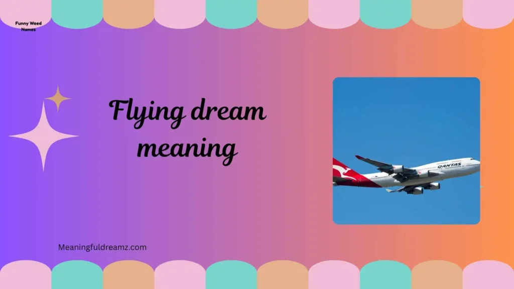 Types / Categories / Variations of Flying Dreams