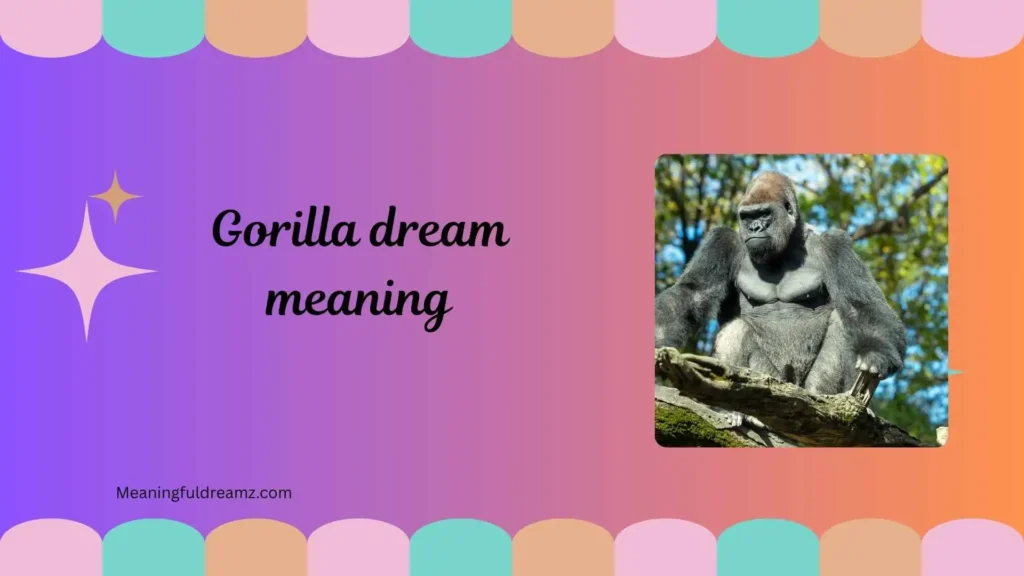 Types / Categories / Variations of Gorilla Dream Meaning