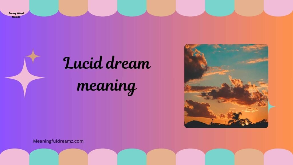 Types / Categories / Variations of Lucid Dream Meaning