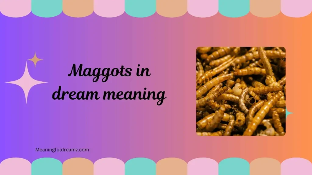 Types / Categories / Variations of Maggots in Dream Meaning