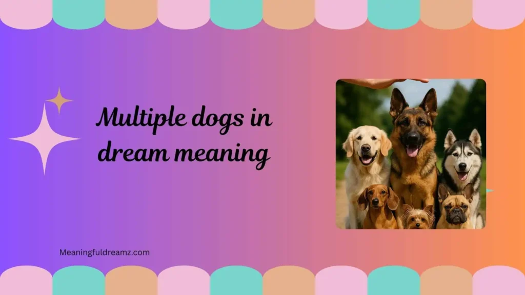 Types / Categories / Variations of Multiple Dogs in Dream Meaning