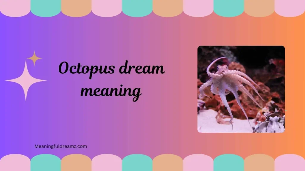 Types / Categories / Variations of Octopus Dreams