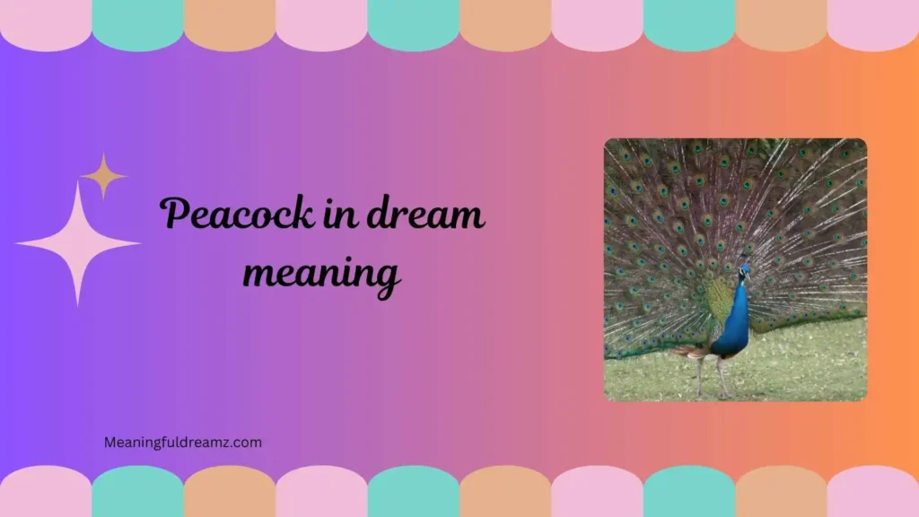 Types / Categories / Variations of Peacock in Dream Meaning