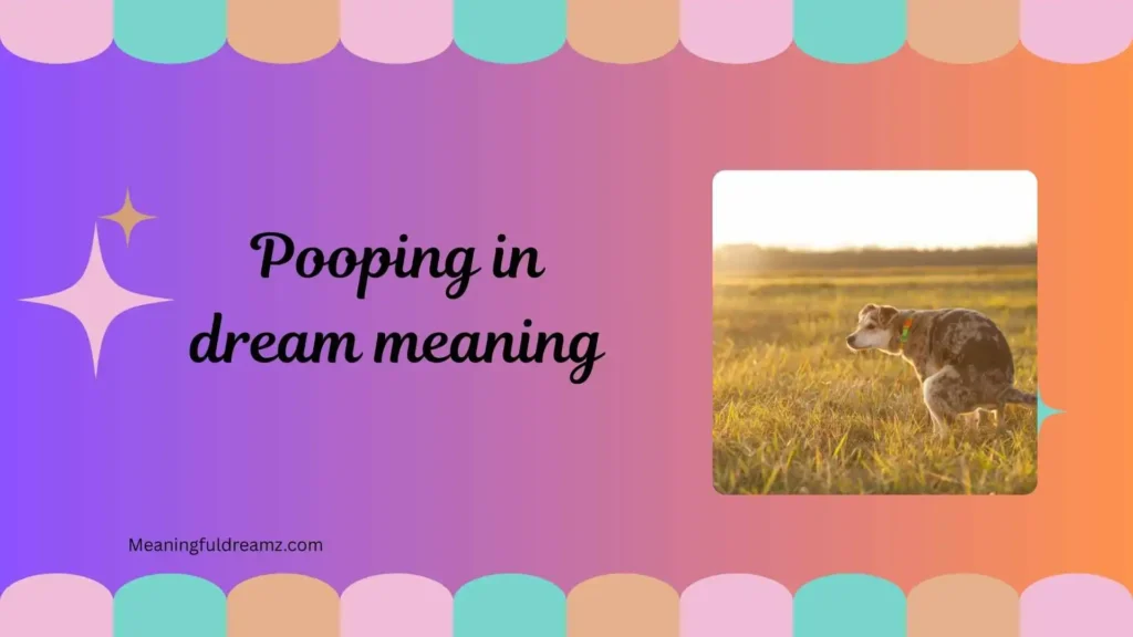 Types / Categories / Variations of Pooping in Dream Meaning