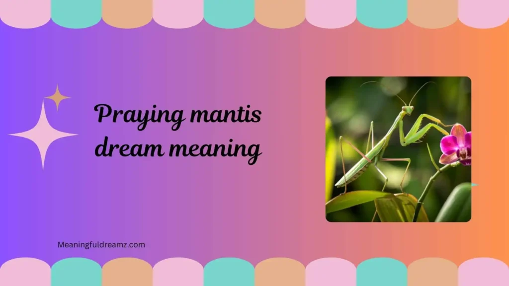 Types / Categories / Variations of Praying Mantis Dream Meaning